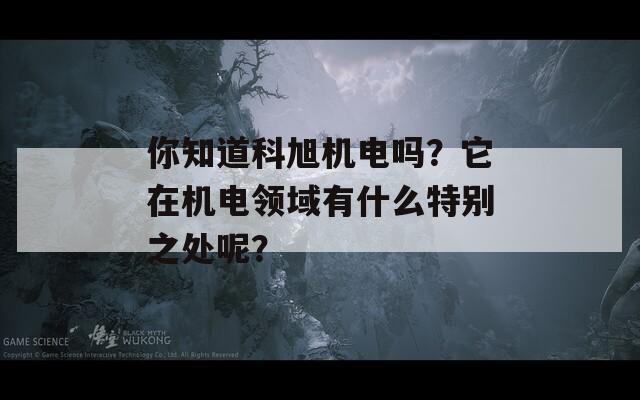 你知道科旭机电吗？它在机电领域有什么特别之处呢？