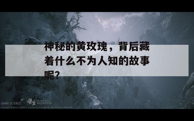 神秘的黄玫瑰，背后藏着什么不为人知的故事呢？  第1张