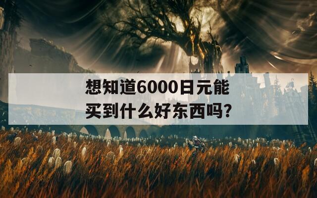 想知道6000日元能买到什么好东西吗？  第1张