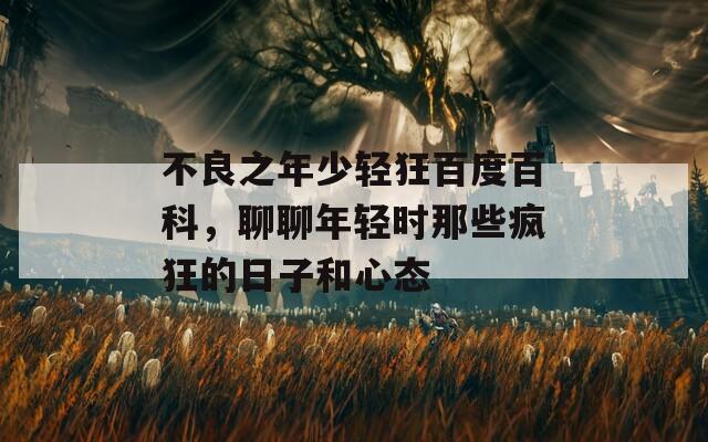 不良之年少轻狂百度百科，聊聊年轻时那些疯狂的日子和心态  第1张