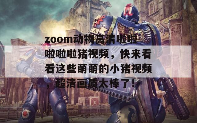 zoom动物高清啦啦啦啦啦猪视频，快来看看这些萌萌的小猪视频，超清画质太棒了！