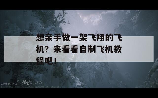 想亲手做一架飞翔的飞机？来看看自制飞机教程吧！