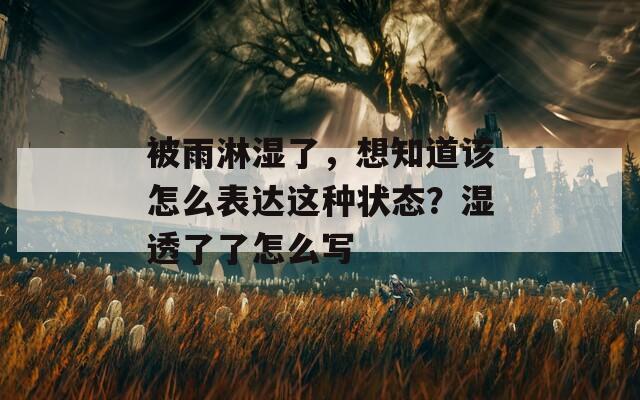 被雨淋湿了，想知道该怎么表达这种状态？湿透了了怎么写