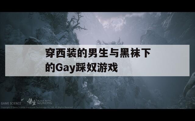 穿西装的男生与黑袜下的Gay踩奴游戏