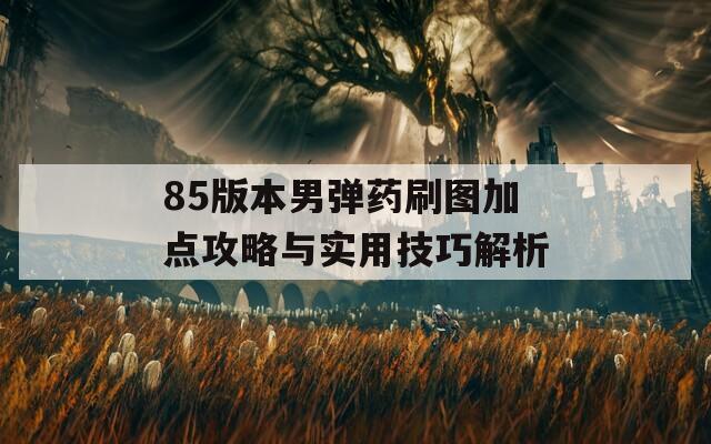 85版本男弹药刷图加点攻略与实用技巧解析