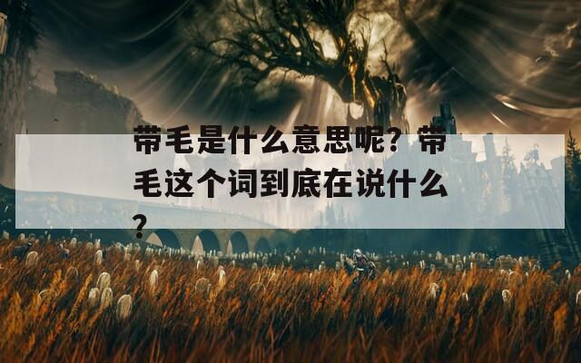 带毛是什么意思呢？带毛这个词到底在说什么？