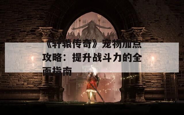 《轩辕传奇》宠物加点攻略：提升战斗力的全面指南