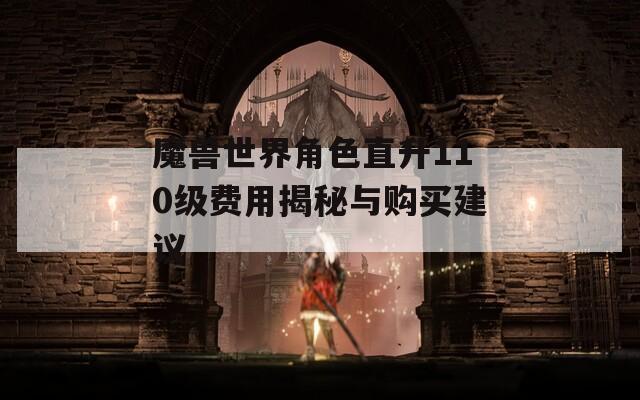 魔兽世界角色直升110级费用揭秘与购买建议