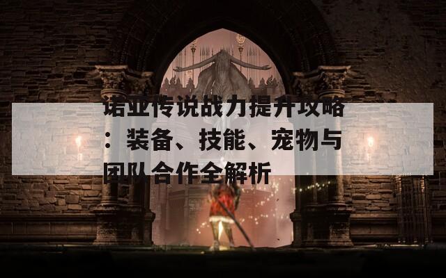 诺亚传说战力提升攻略：装备、技能、宠物与团队合作全解析  第1张