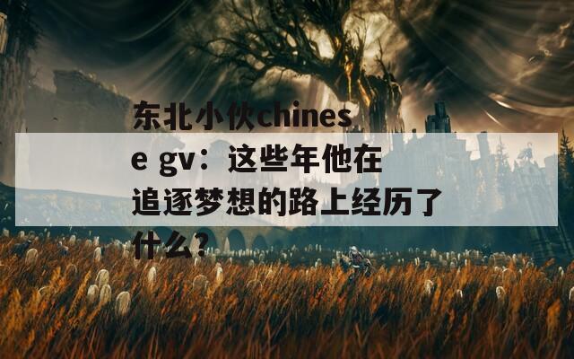 东北小伙chinese gv：这些年他在追逐梦想的路上经历了什么？