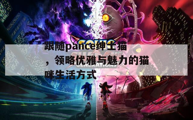 跟随pance绅士猫，领略优雅与魅力的猫咪生活方式  第1张