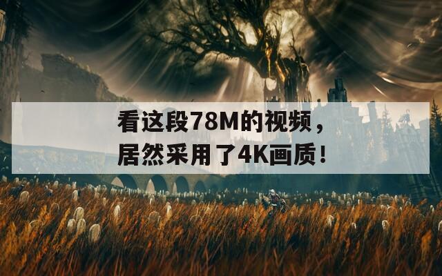 看这段78M的视频，居然采用了4K画质！