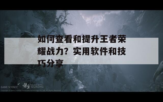 如何查看和提升王者荣耀战力？实用软件和技巧分享