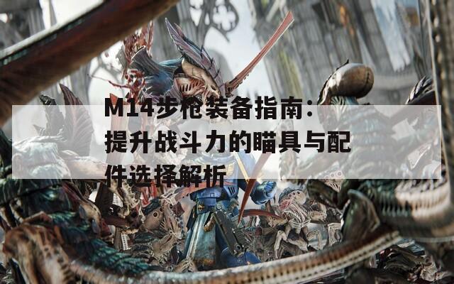 M14步枪装备指南：提升战斗力的瞄具与配件选择解析