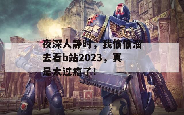 夜深人静时，我偷偷溜去看b站2023，真是太过瘾了！