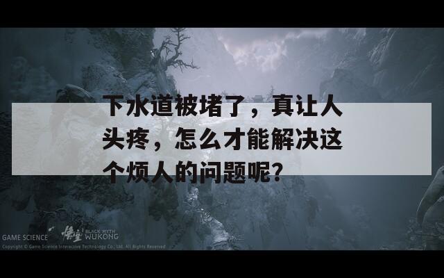 下水道被堵了，真让人头疼，怎么才能解决这个烦人的问题呢？  第1张