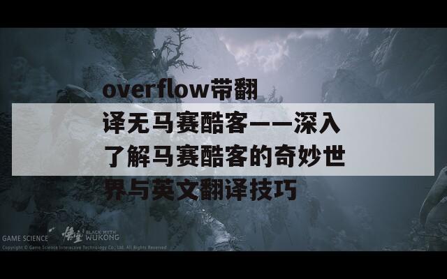 overflow带翻译无马赛酷客——深入了解马赛酷客的奇妙世界与英文翻译技巧  第1张