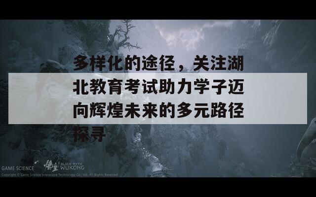 多样化的途径，关注湖北教育考试助力学子迈向辉煌未来的多元路径探寻  第1张