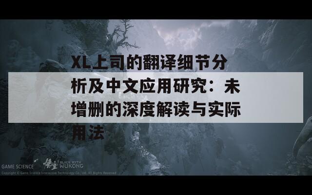 XL上司的翻译细节分析及中文应用研究：未增删的深度解读与实际用法