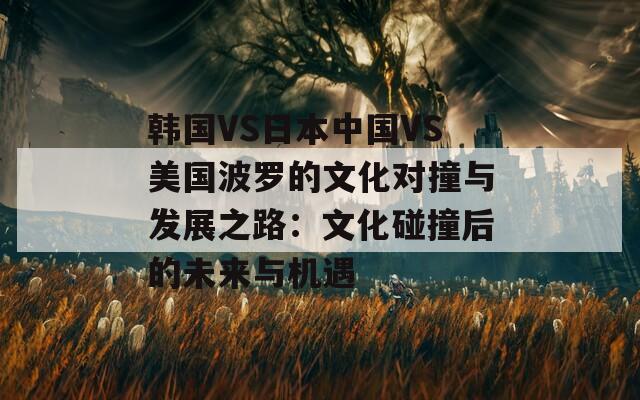 韩国VS日本中国VS美国波罗的文化对撞与发展之路：文化碰撞后的未来与机遇  第1张