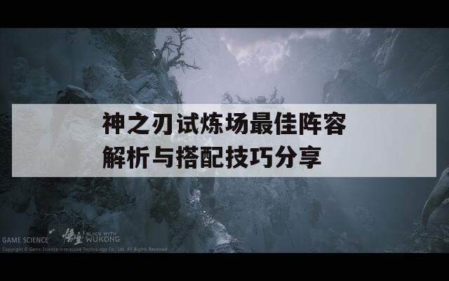 神之刃试炼场最佳阵容解析与搭配技巧分享