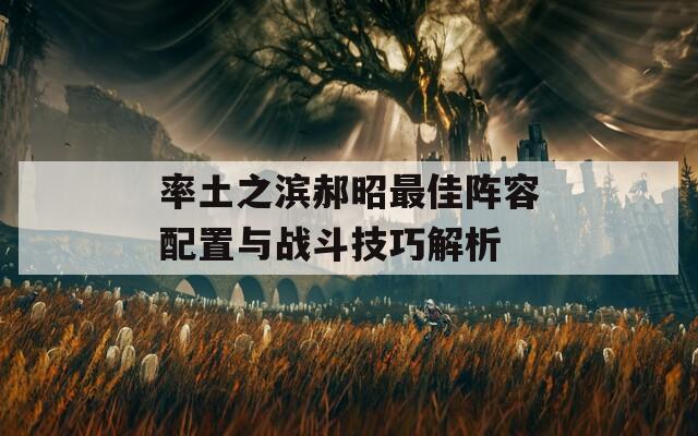 率土之滨郝昭最佳阵容配置与战斗技巧解析  第1张