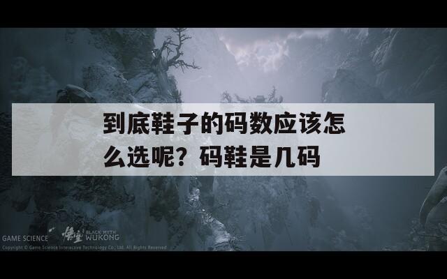 到底鞋子的码数应该怎么选呢？码鞋是几码  第1张