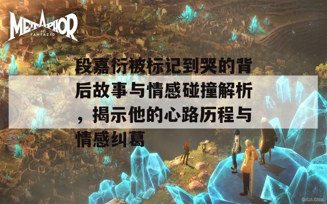 段嘉衍被标记到哭的背后故事与情感碰撞解析，揭示他的心路历程与情感纠葛