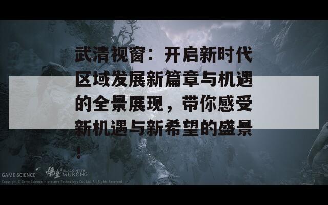 武清视窗：开启新时代区域发展新篇章与机遇的全景展现，带你感受新机遇与新希望的盛景！  第1张