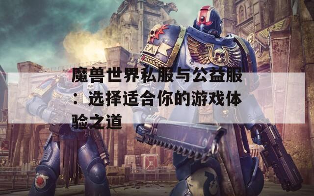 魔兽世界私服与公益服：选择适合你的游戏体验之道  第1张