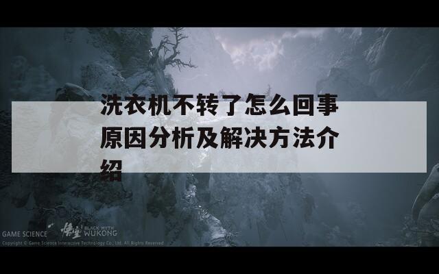 洗衣机不转了怎么回事原因分析及解决方法介绍