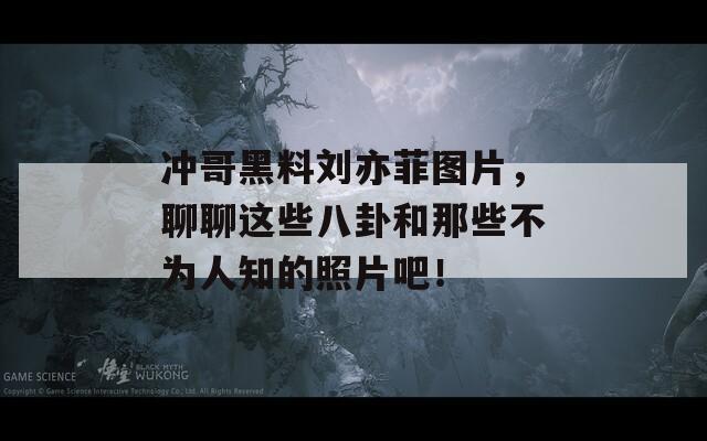 冲哥黑料刘亦菲图片，聊聊这些八卦和那些不为人知的照片吧！