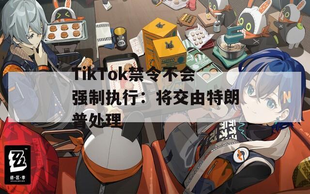 TikTok禁令不会强制执行：将交由特朗普处理