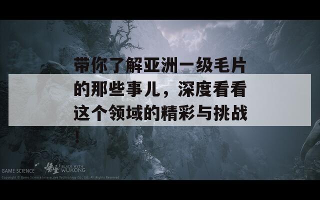 带你了解亚洲一级毛片的那些事儿，深度看看这个领域的精彩与挑战！