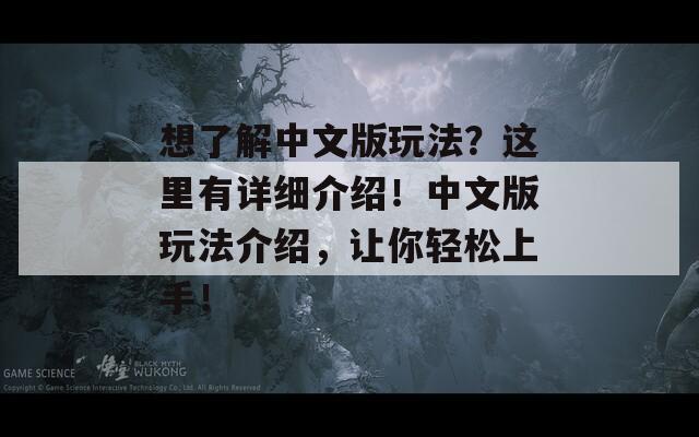 想了解中文版玩法？这里有详细介绍！中文版玩法介绍，让你轻松上手！