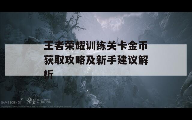 王者荣耀训练关卡金币获取攻略及新手建议解析