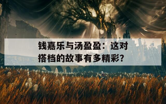 钱嘉乐与汤盈盈：这对搭档的故事有多精彩？  第1张